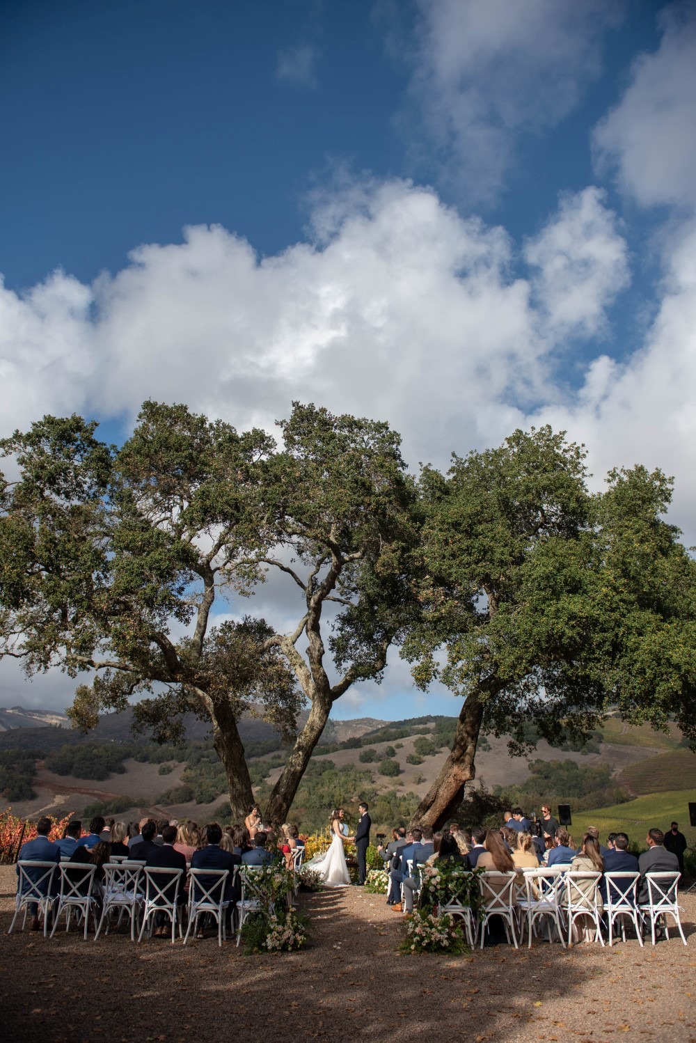 At the Kunde Family Winery a couple gets married under majestic trees.  Wedding planned by Blissful Events. Photo by Jessica Schmitt Photography.