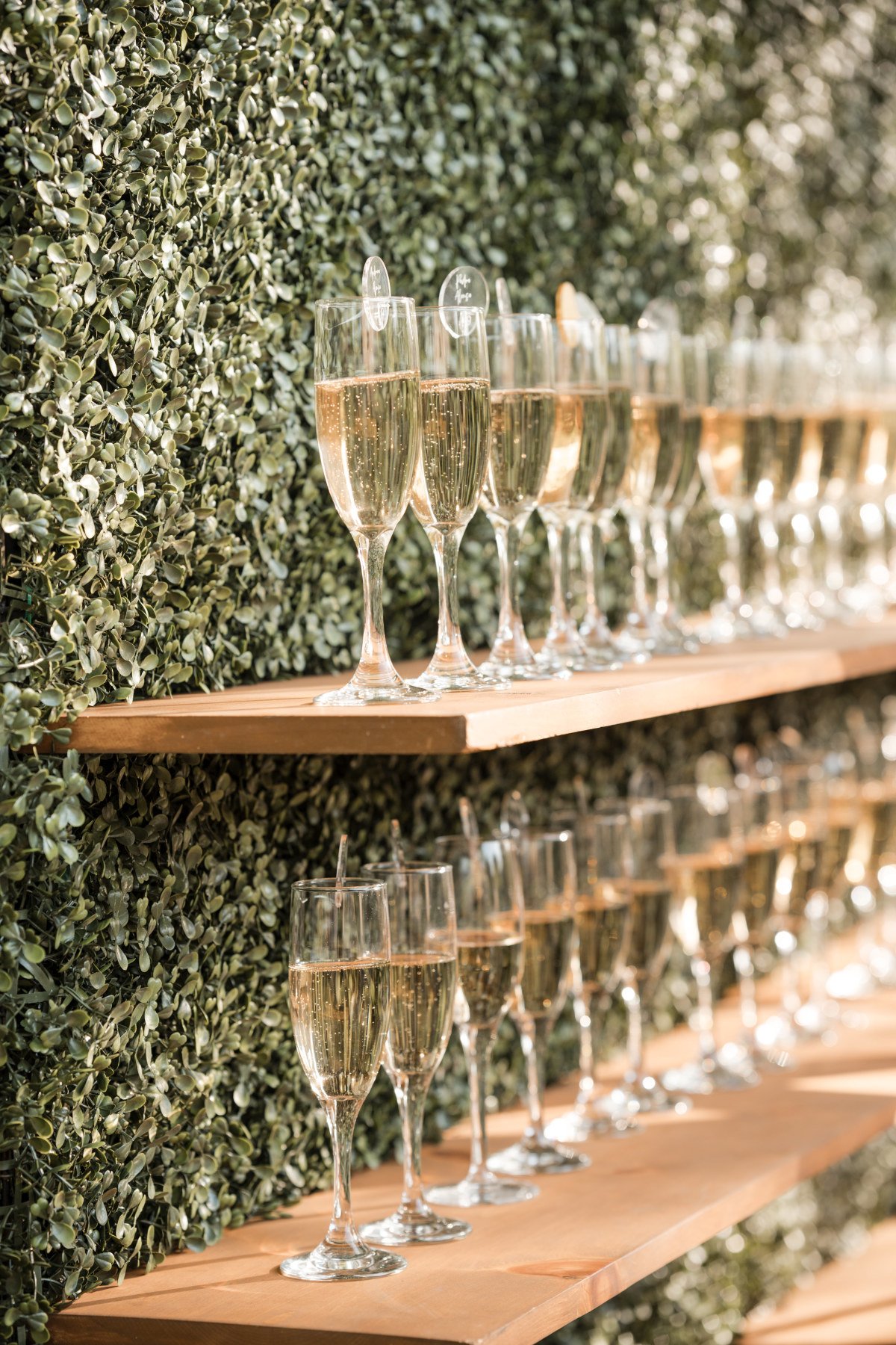 A hedge-like wall holds shelves of champaign flutes to celebrate a wedding at Yountville Wedding Venues. Wedding planned by Blissful Events. Photo by Lily Rose.